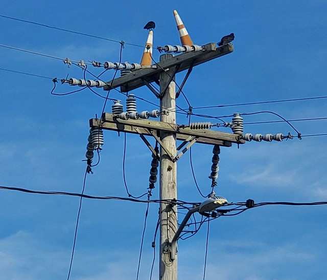 Birds on the wires, Wellfleet, Cape Cod