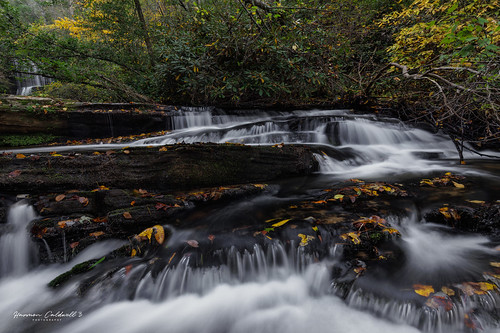 canon eos r5 ef1635mm f4l is usm harmon caldwell long creek fall wilderness forest autumn leaves landscape exposure water waterfall outdoor nature south carolina