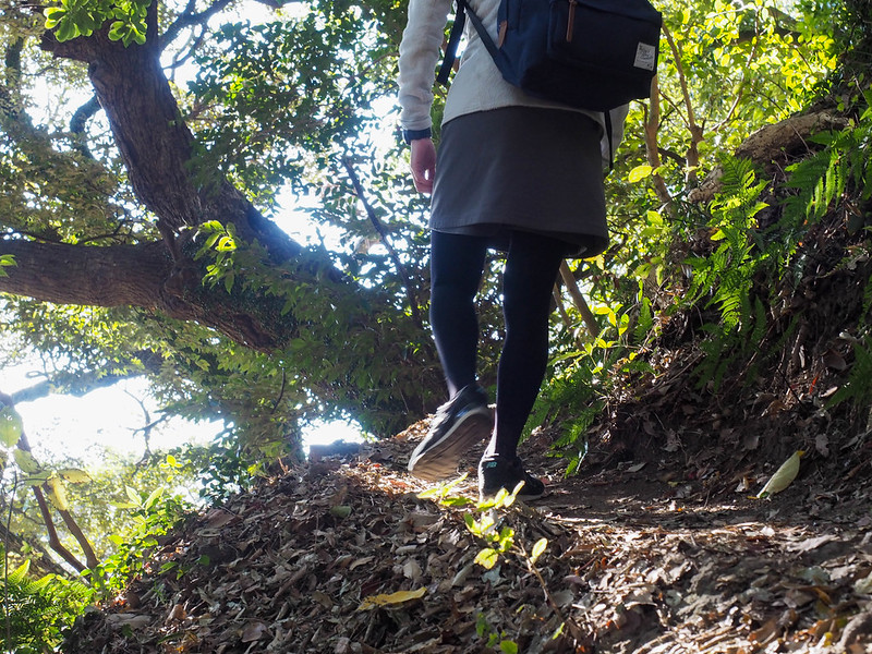 高麗山 男坂