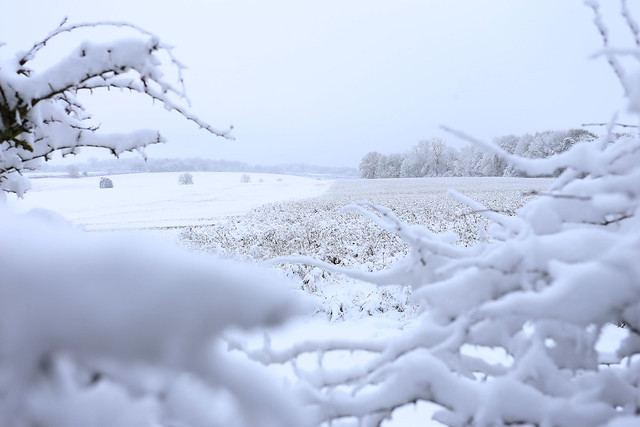 Hertfordshire snow