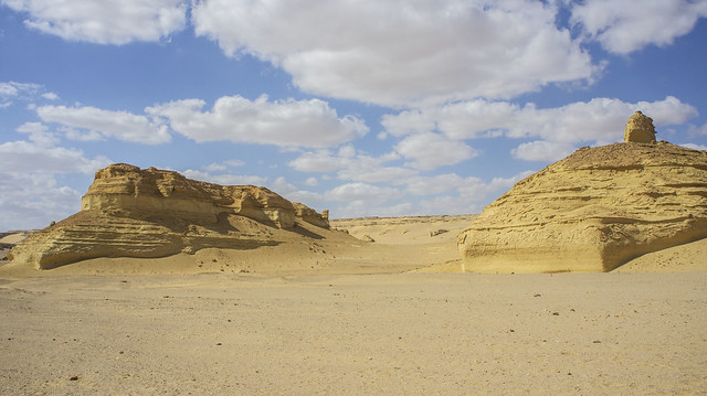 Wadi El-Hitan protectorate and open Museum in Egypt's Museum