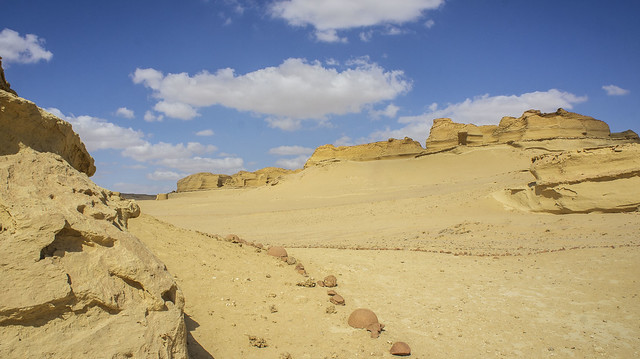 Wadi El-Hitan protectorate and open Museum in Egypt's Museum