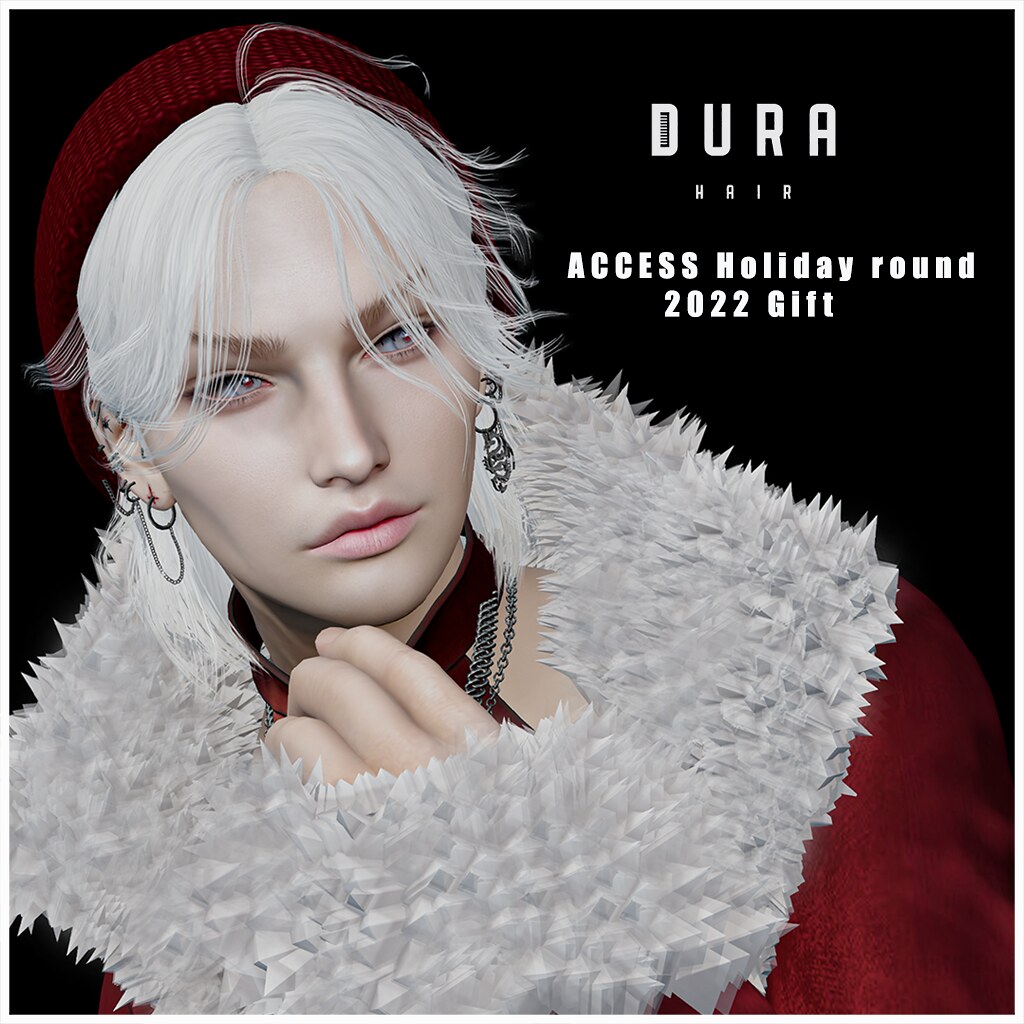 [DURA]ACCESS Holiday round 2022 Gift