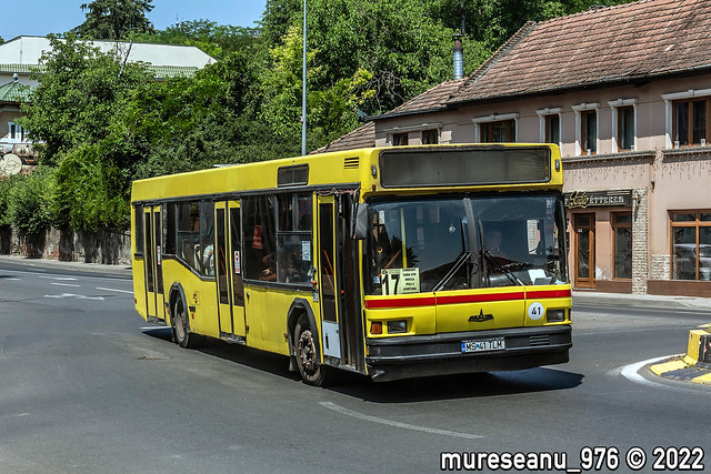 MS 41 TLM (#41) Transport Local Targu-Mures
