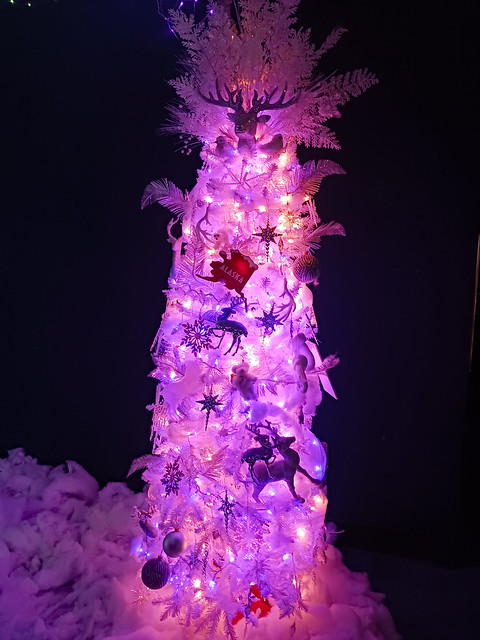 Illuminated Christmas Tree.