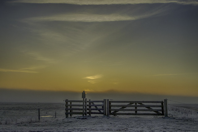 Cold morning, cold hands , nice fence @ Gieterveen Netherlands
