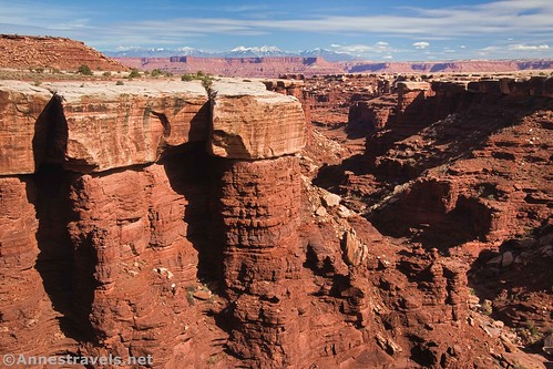 Rock formations on the edge of Gooseberry Canyon, White Rim Road, Island in the Sky, Canyonlands National Park, Utah