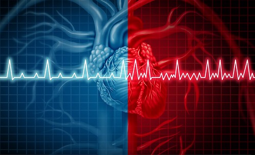 En busca del origen de las arritmias cardiacas