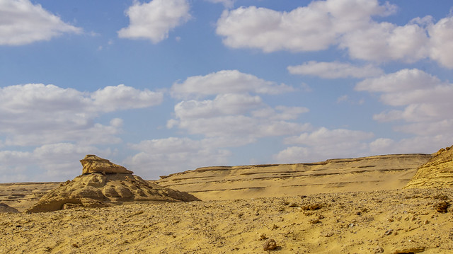 Inside Fossil and Climate Change Museum in Egypt's Fayoum