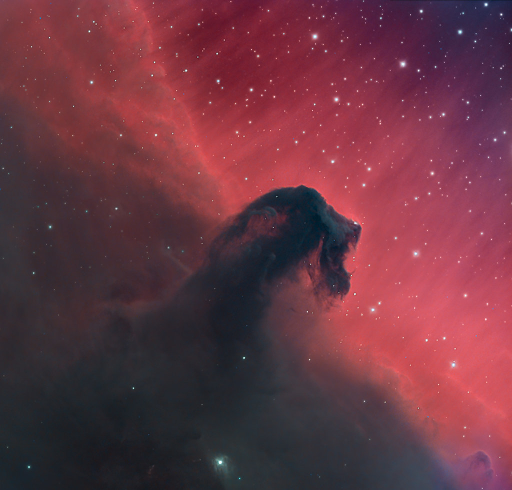 Horsehead Nebula in Orion | La nebulosa Cabeza de Caballo (B… | Flickr