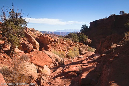 Hiking down the wash on the Gooseberry Trail, Island in the Sky, Canyonlands National Park, Utah