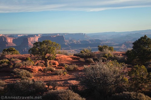 Early morning in the picnic area at the Gooseberry Trailhead, Island in the Sky, Canyonlands National Park, Utah