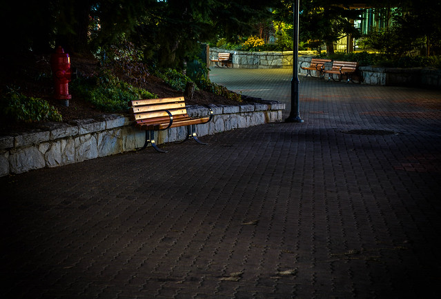 the Lonely Bench