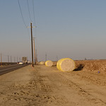 California Central Valley cotton (1586) Right near where I had been taking pictures of the construction of the California High Speed Rail construction, I saw these giant rolls of some white material, wrapped in plastic.  The rolls were bigger than my car, and I (stupidly) thought it must be some material that was going to be used in construction.  I was a little slow in realizing that I was standing next to a cotton field, and this was freshly picked cotton.