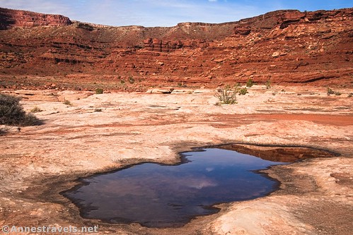 A puddle near the White Rim Road and the Gooseberry Trail, Island in the Sky, Canyonlands National Park, Utah