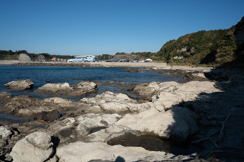 三浦・岩礁のみち