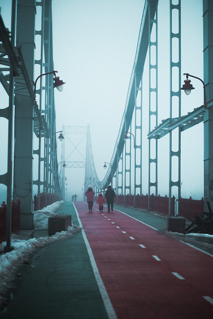 fog and bridge