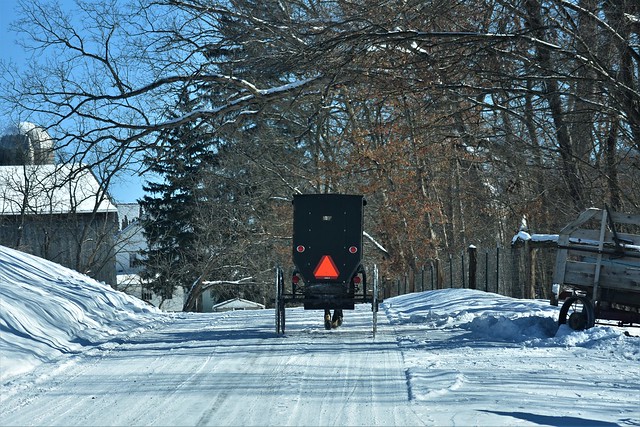 Pennsylvania Amish along winter's country roads @ Smicksburg, PA