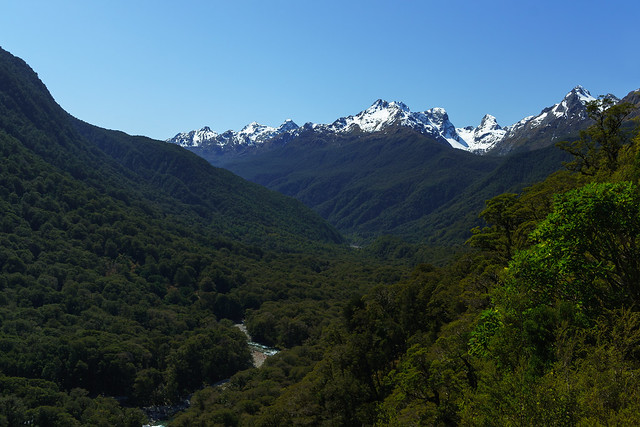 Hollyford River and Valley