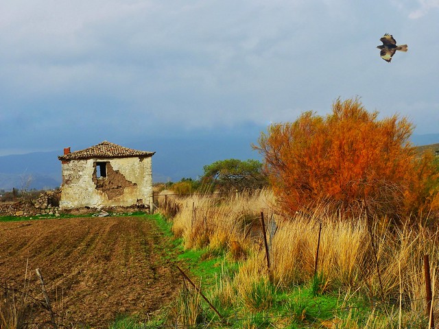 an abandoned farm 🇬🇷