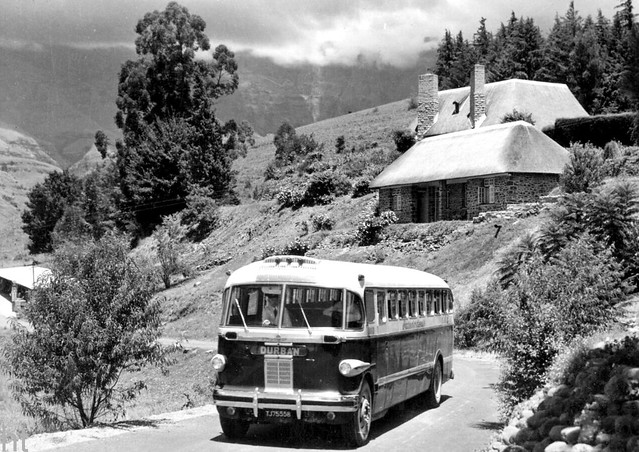 Canadian Brill bus No MT6012 in Royal Natal National Park, Drakensberg