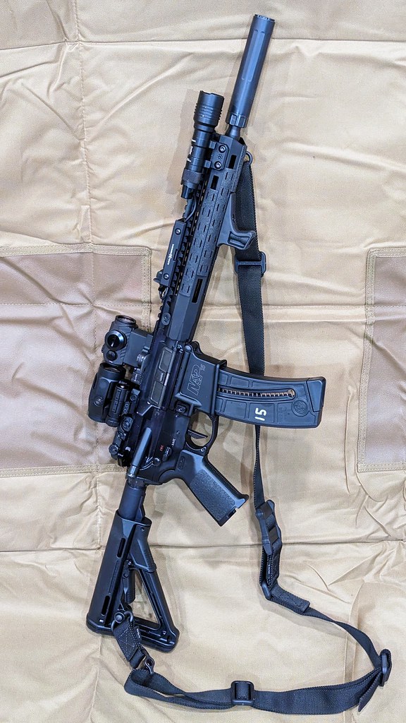 Build or buy a 22lr AR > 10/22 & 22 Caliber Rifles > AR15.COM