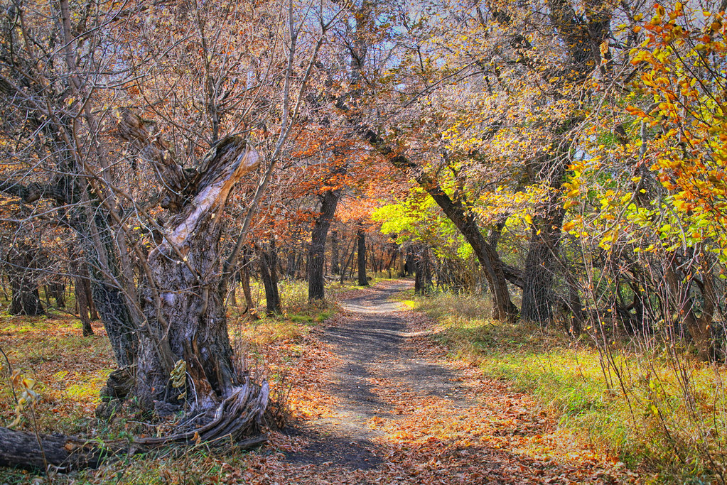 A Welcoming Path | taken at the Fort Ransom State park 2022 | Katherine ...