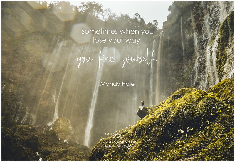 Mandy Hale Sometimes when you lose your way, you find yourself.