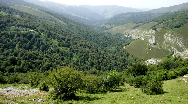 En descendant vers Bárcena Mayor, commune de Los Tojos, comarque de Saja-Nansa, Cantabrie, Espagne.