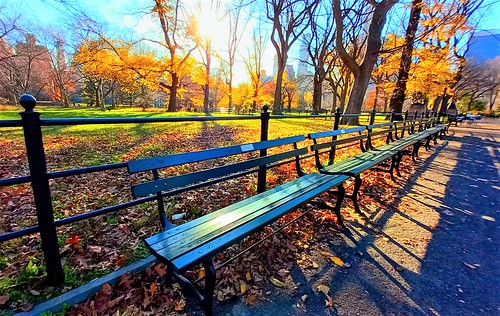 centralparkbench themall autumncolors sunrise manhattan nyc central park