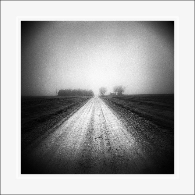 Flirting with Holga: Country Road in Fog [2]