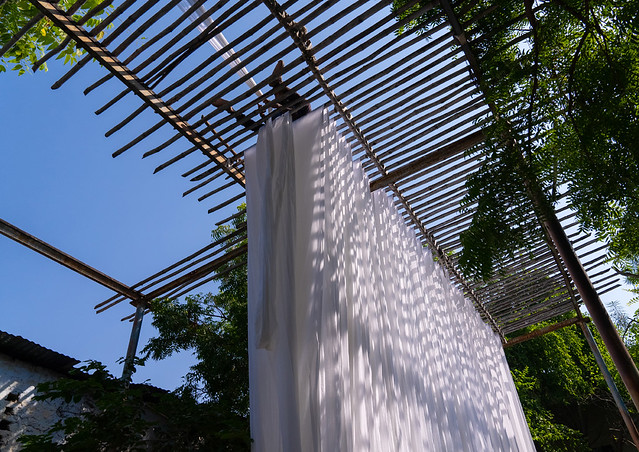 Indian worker drying white sarees, Rajasthan, Jaipur, India