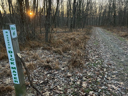 railtotrail trail pennsylvania sunrise dawn sign forest milepost mile marker 6 number