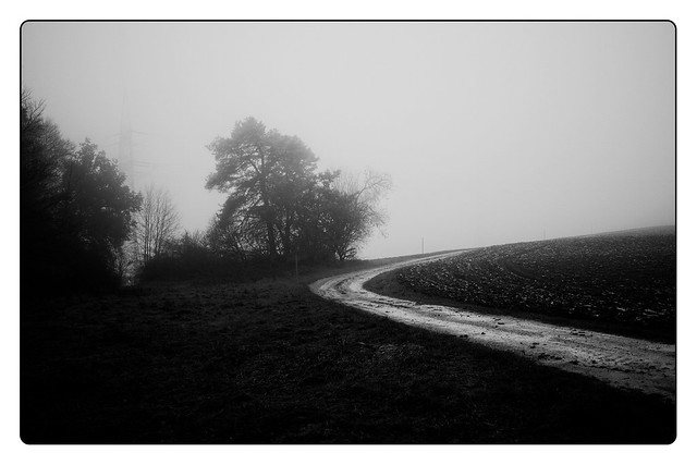 Morning mists # 1 (December 2022)
