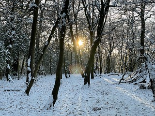 Winter sunlight Monken Hadley Common