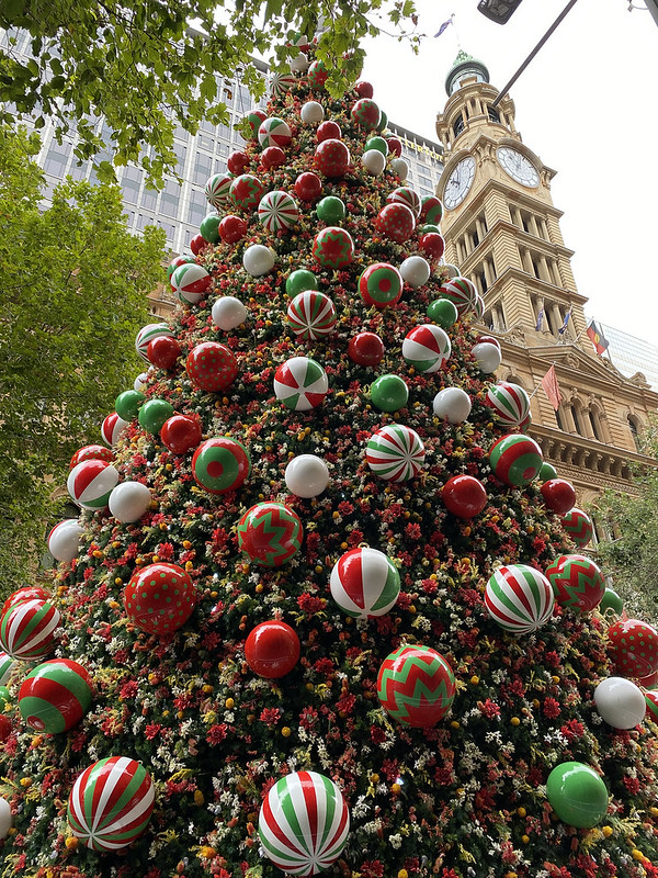 Martin Place Christmas Tree
