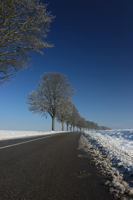 Winterliche Straße