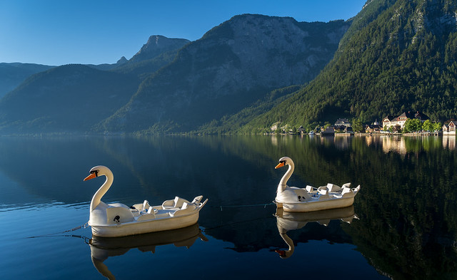 Hallstatt Lake with Swan boats