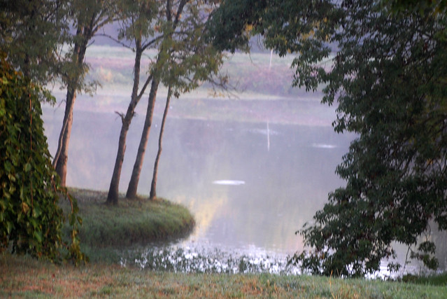 Brume et soleil matinal se disputent les étangs