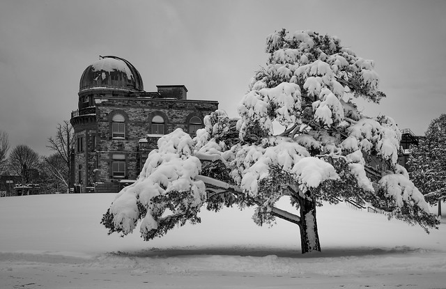 Experimental Snow - Dominion Observatory