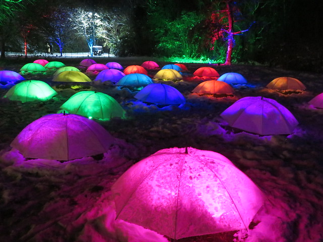 UK - London - Eltham - Eltham Palace - Enchanted Eltham - Umbrellas with lighting