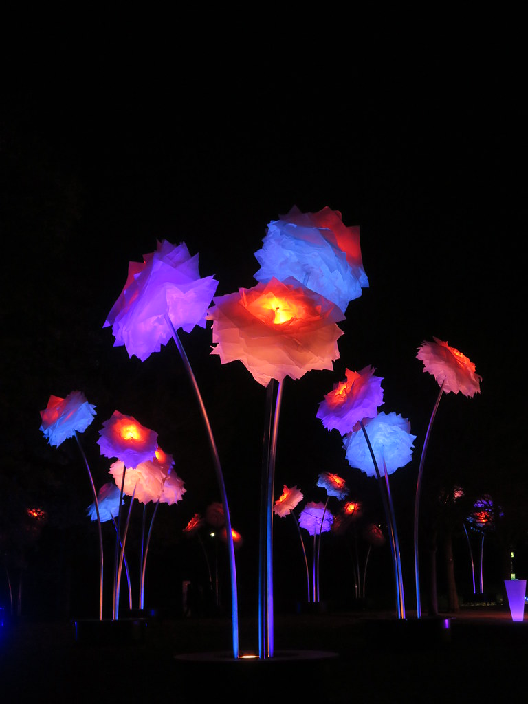 Les Sentiers de lumière, Parc floral de Vincennes (75)