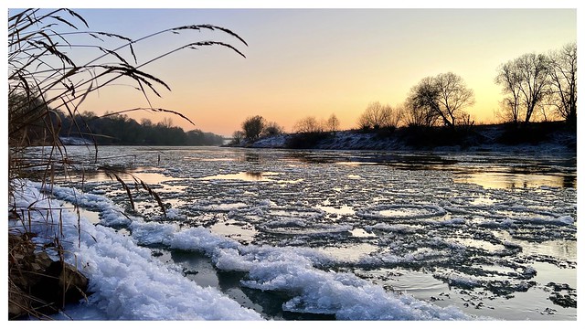 Ice floes on the Weser