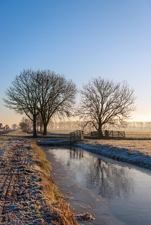 Cold morning in a Dutch polder