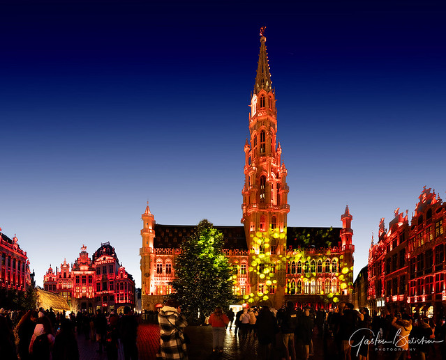 Christmas colors, Great market, Brussels, Belgium