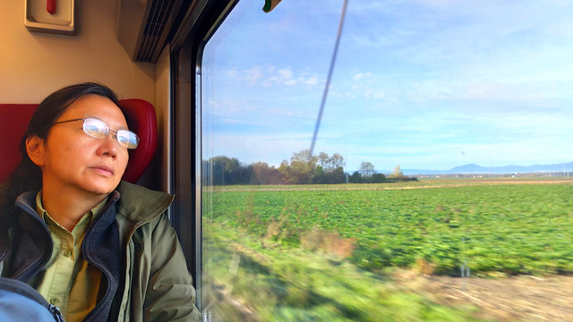 On the train from Strasbourg to Colmar, Alsace, France