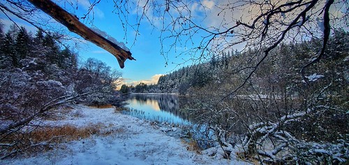Baby, it's Cold Outside by Mark.L.Sutherland, babyitscoldoutside snow cold frozen trees water lochmoy winterwalks framing postediting edited snaps