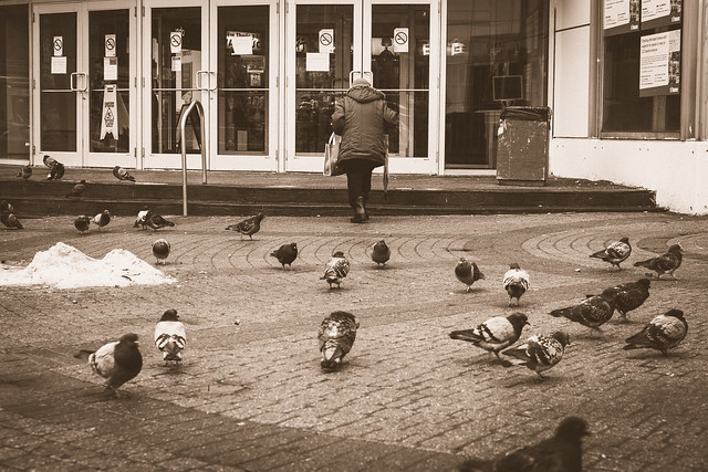 Old lady and the pigeons.