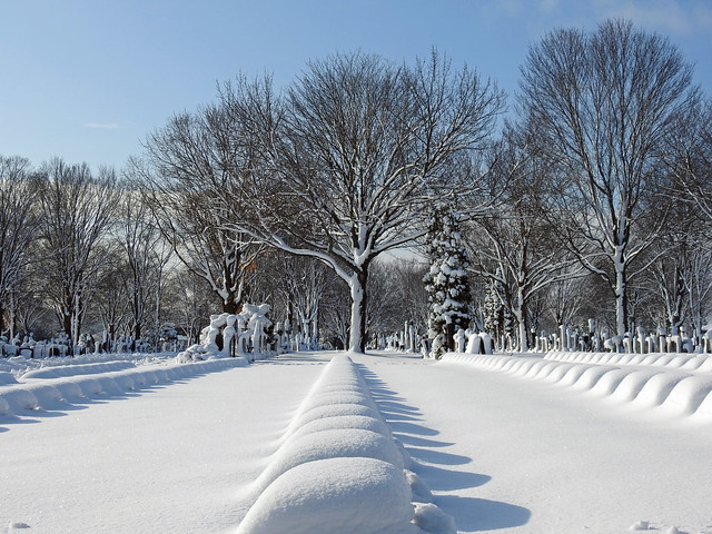 Snow covered gravestones at Notre-Dame Cemetery in Ottawa, Ontario