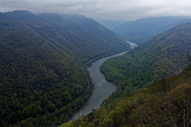 The Official Field Guide to New River Gorge National Park!